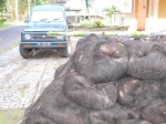 tagmateriale